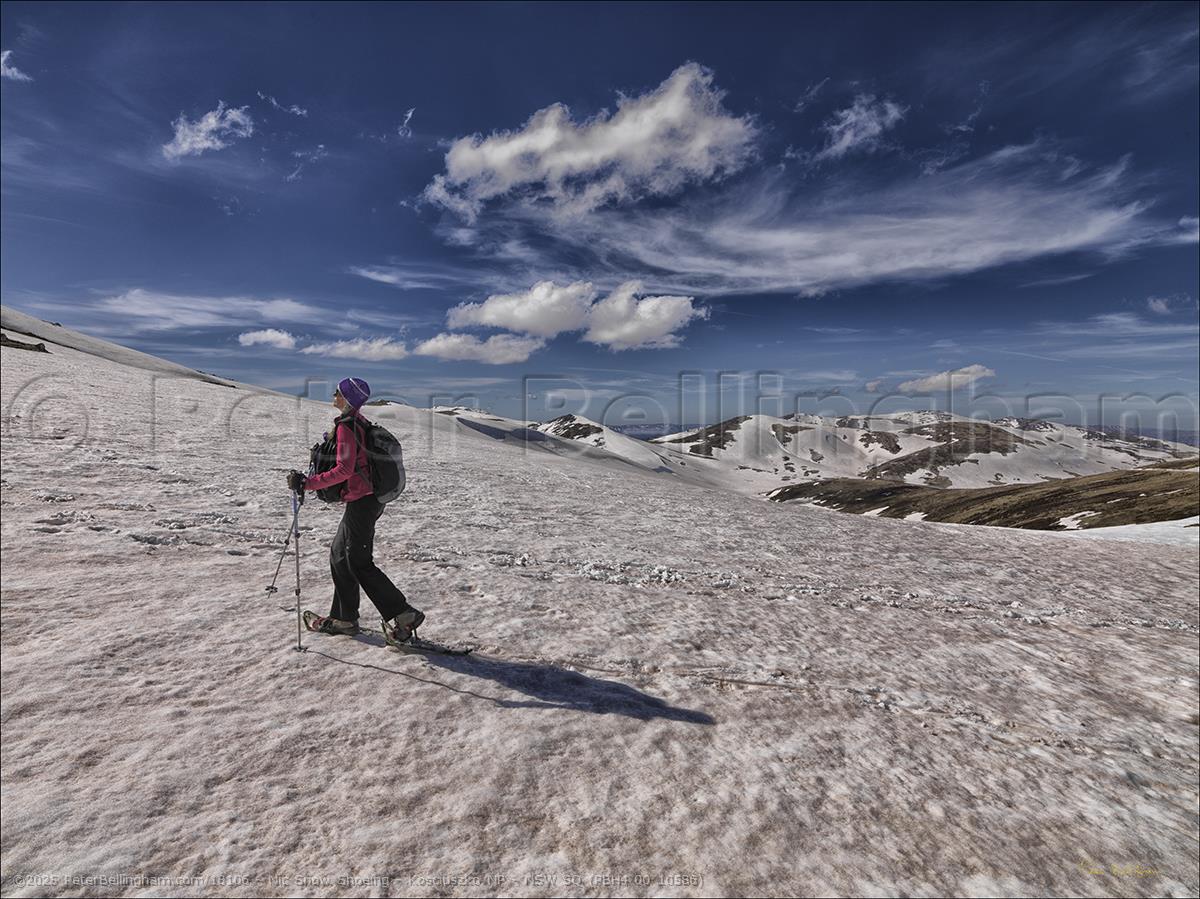 Peter Bellingham Photography Nic Snow Shoeing - Kosciuszko NP - NSW SQ (PBH4 00 10586)